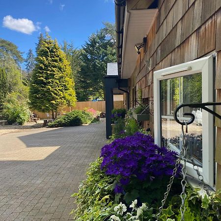 رينغوود Petherton Cottage Studios المظهر الخارجي الصورة