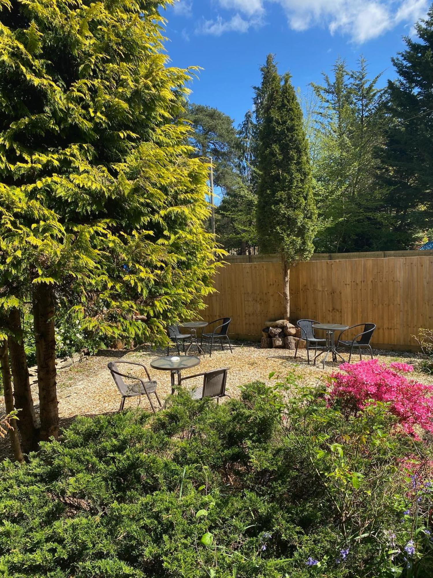 رينغوود Petherton Cottage Studios المظهر الخارجي الصورة